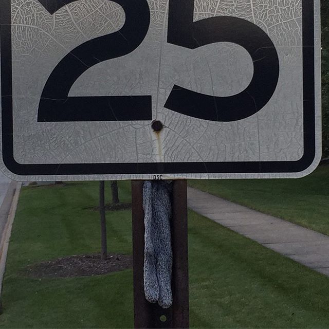 I saw a glove's  ghost on this sign. I could hear it moaning for a hand.