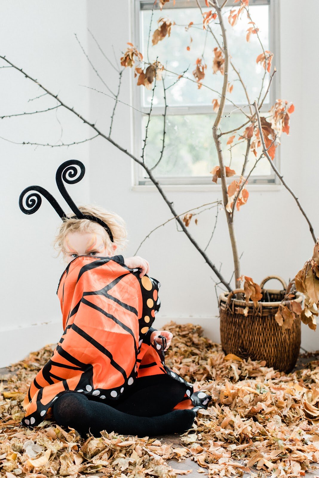 A child in a butterfly costume facing the camera
