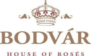 bodvar-e1540916968702.jpg