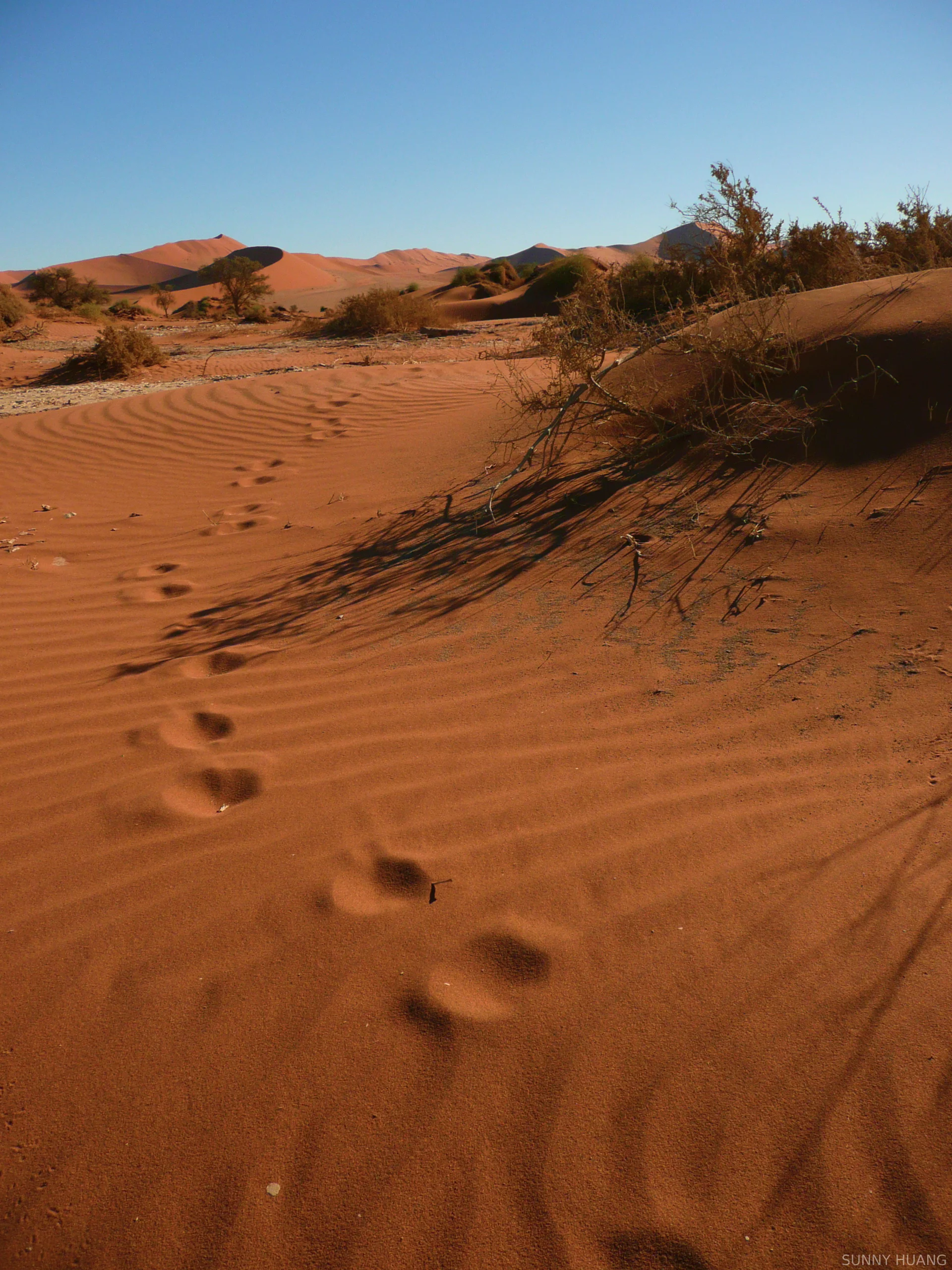 Sossusvlei, Namibia