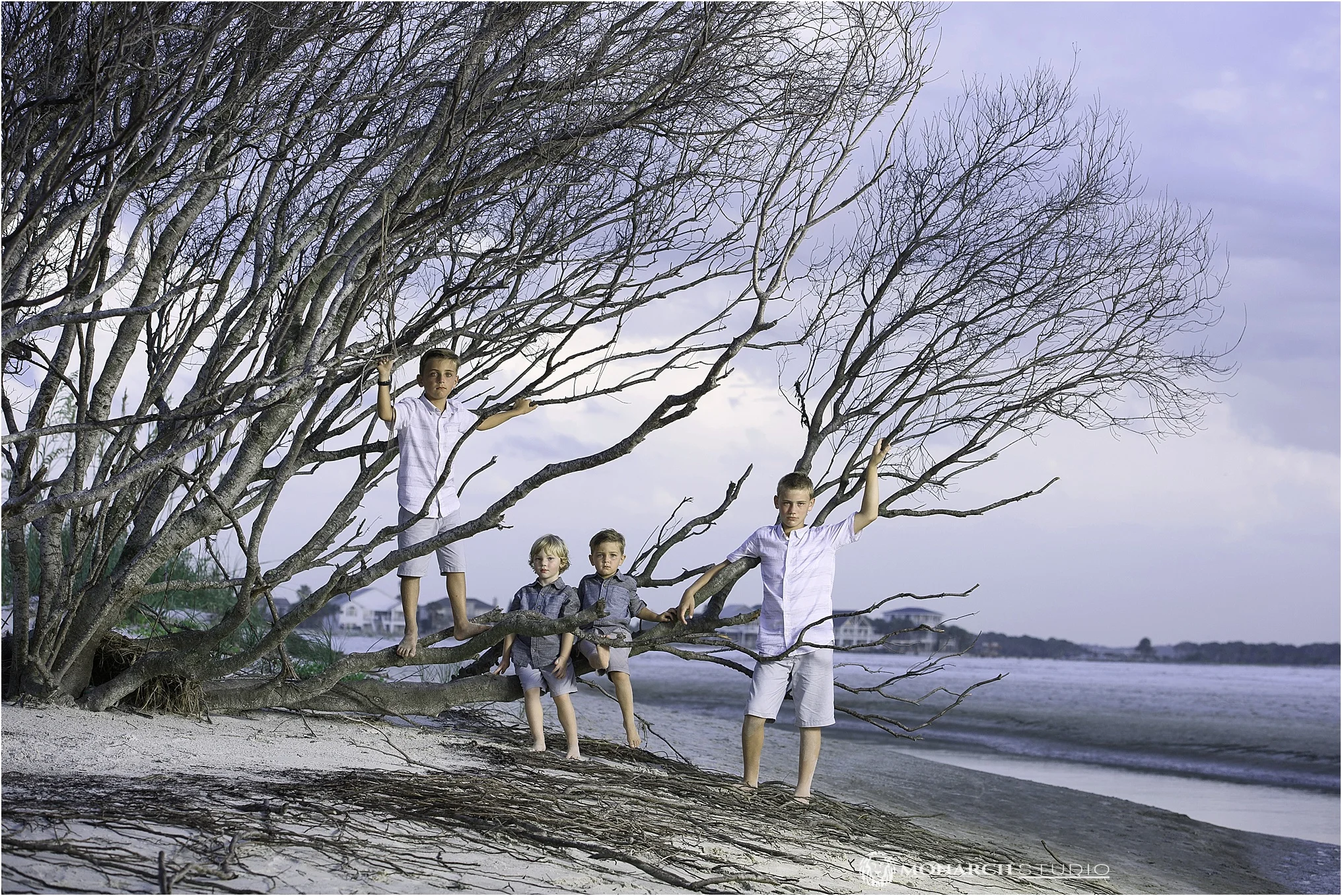 First cousins share a tree lining the Matanzas Inlet