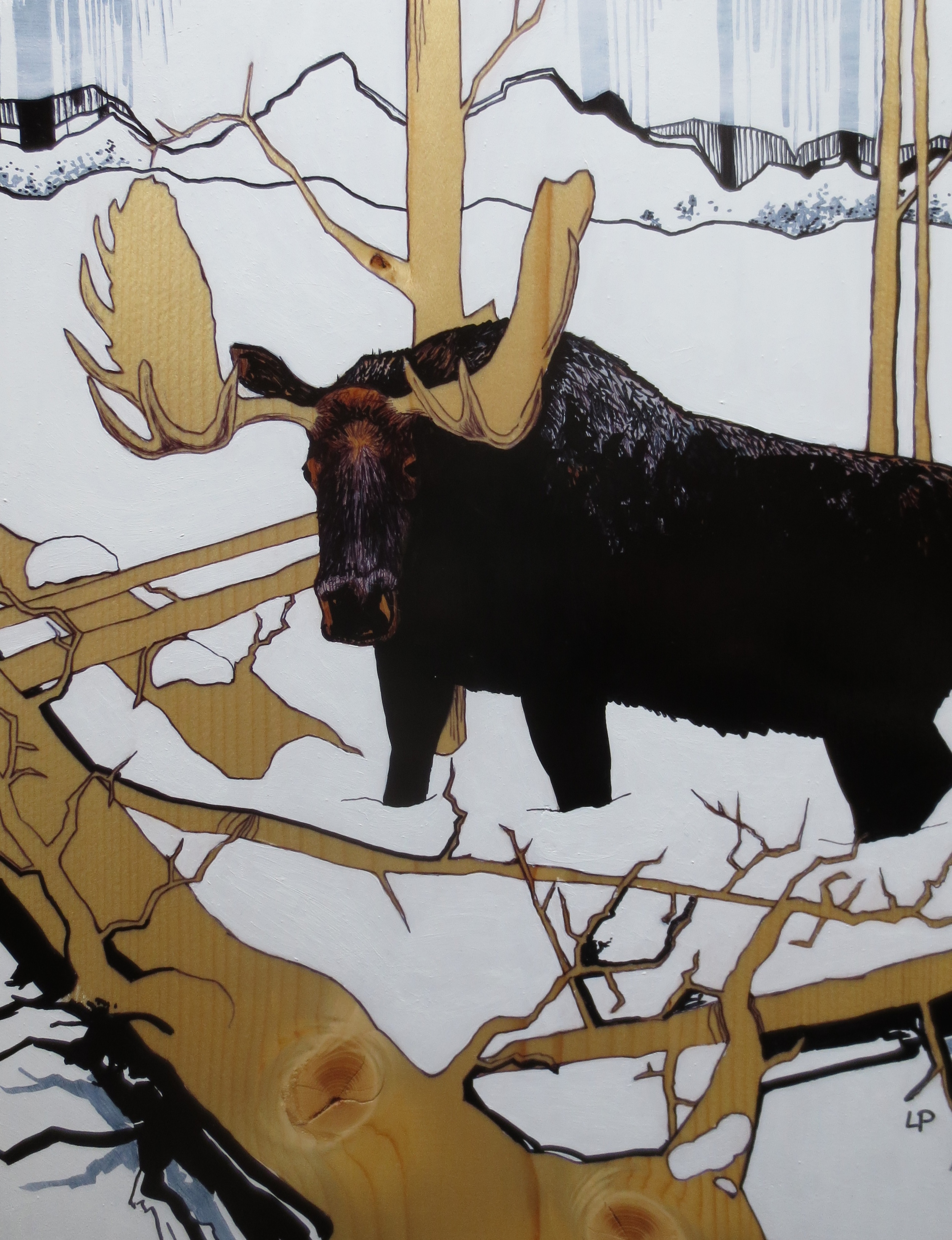BULL MOOSE