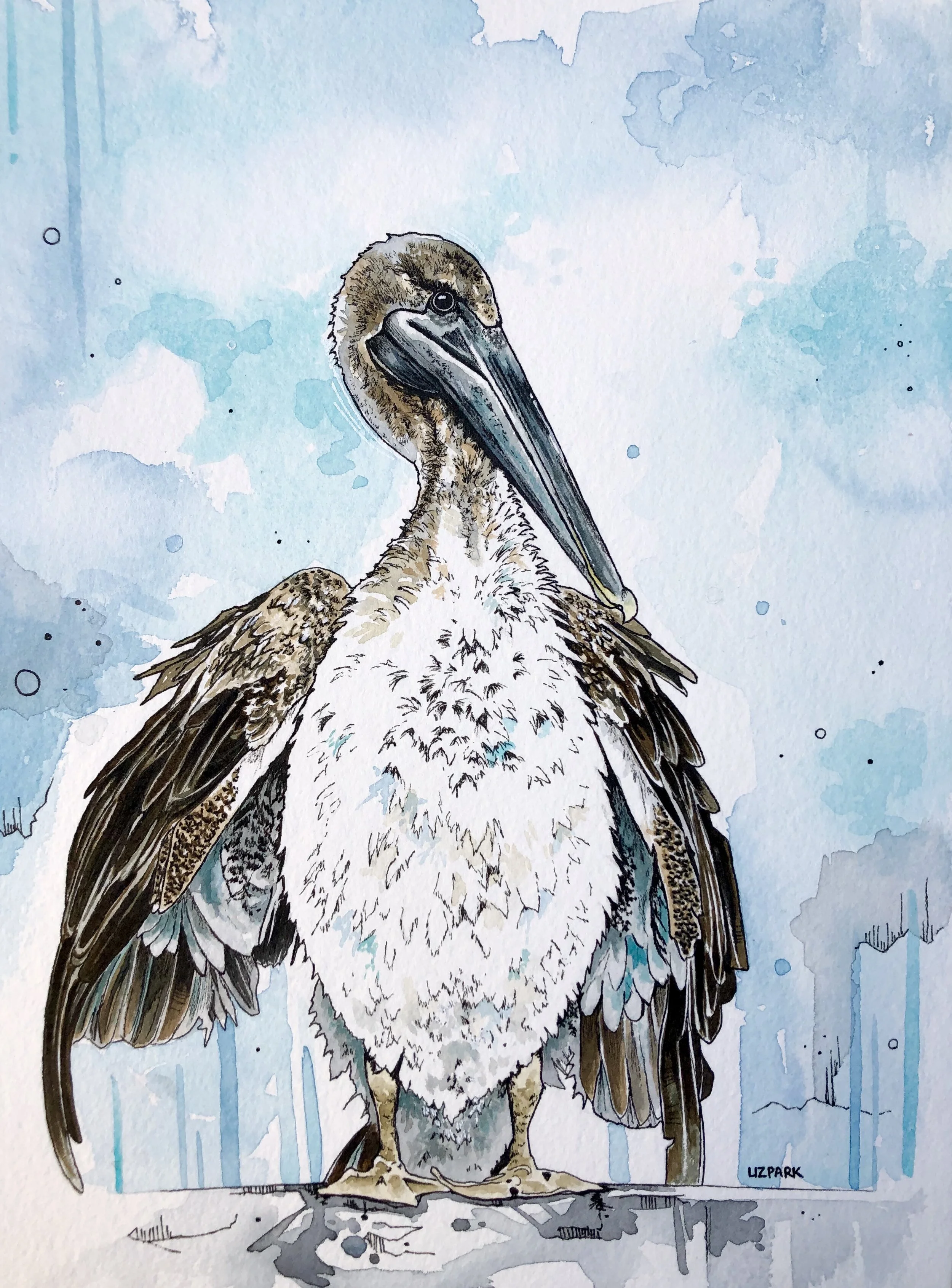 IT'S PELICAN, NOT PELI-CAN'T