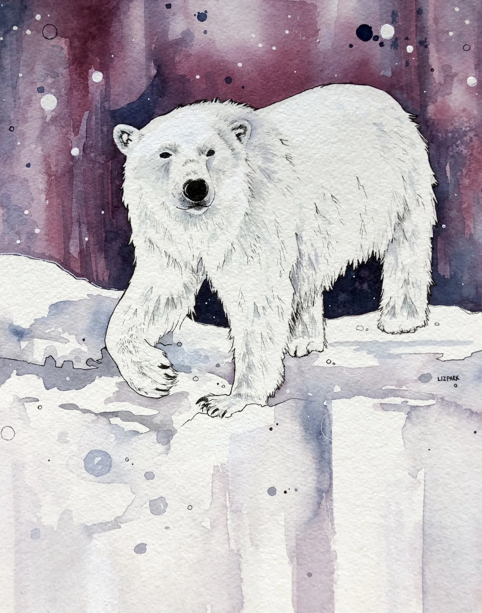 POLAR FRIEND