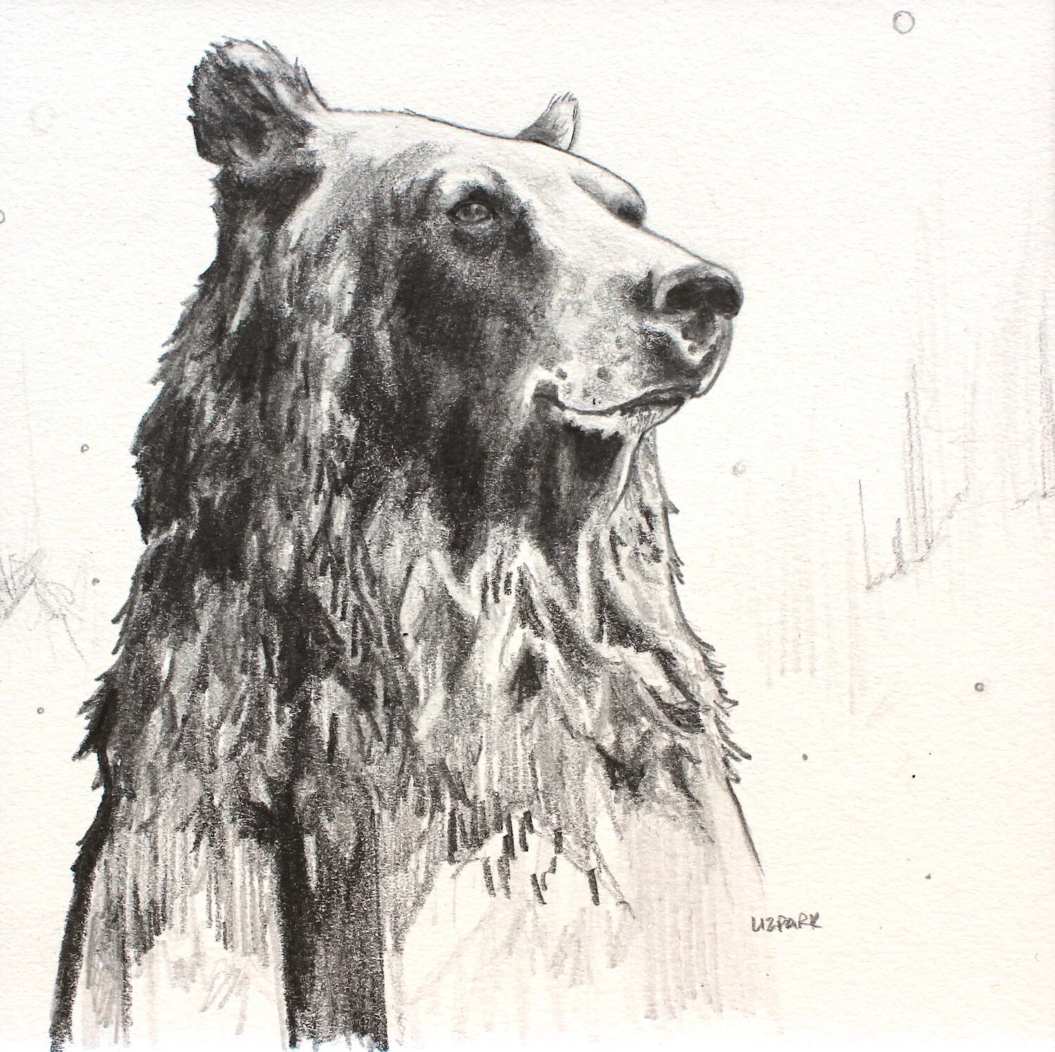 THINKING BEAR I