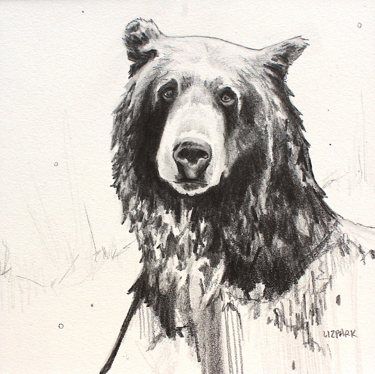 THINKING BEAR II