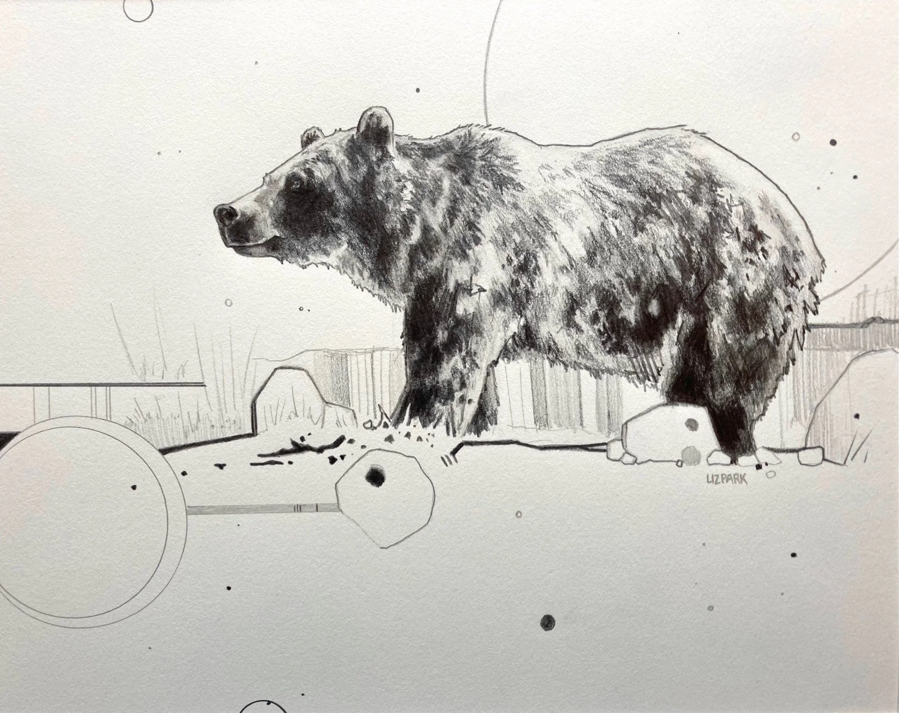 West Yellowstone Griz