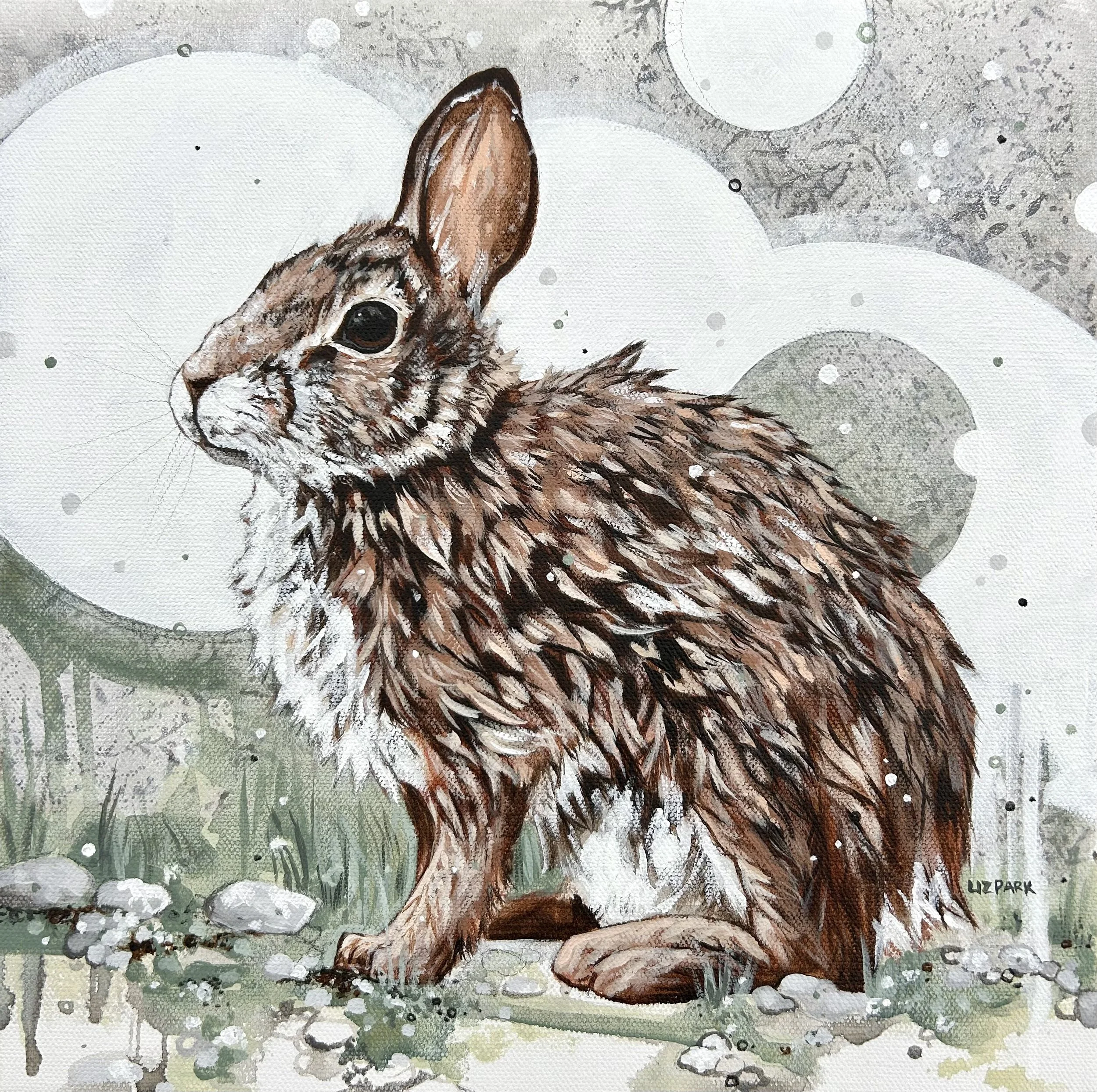 RAIN RABBIT