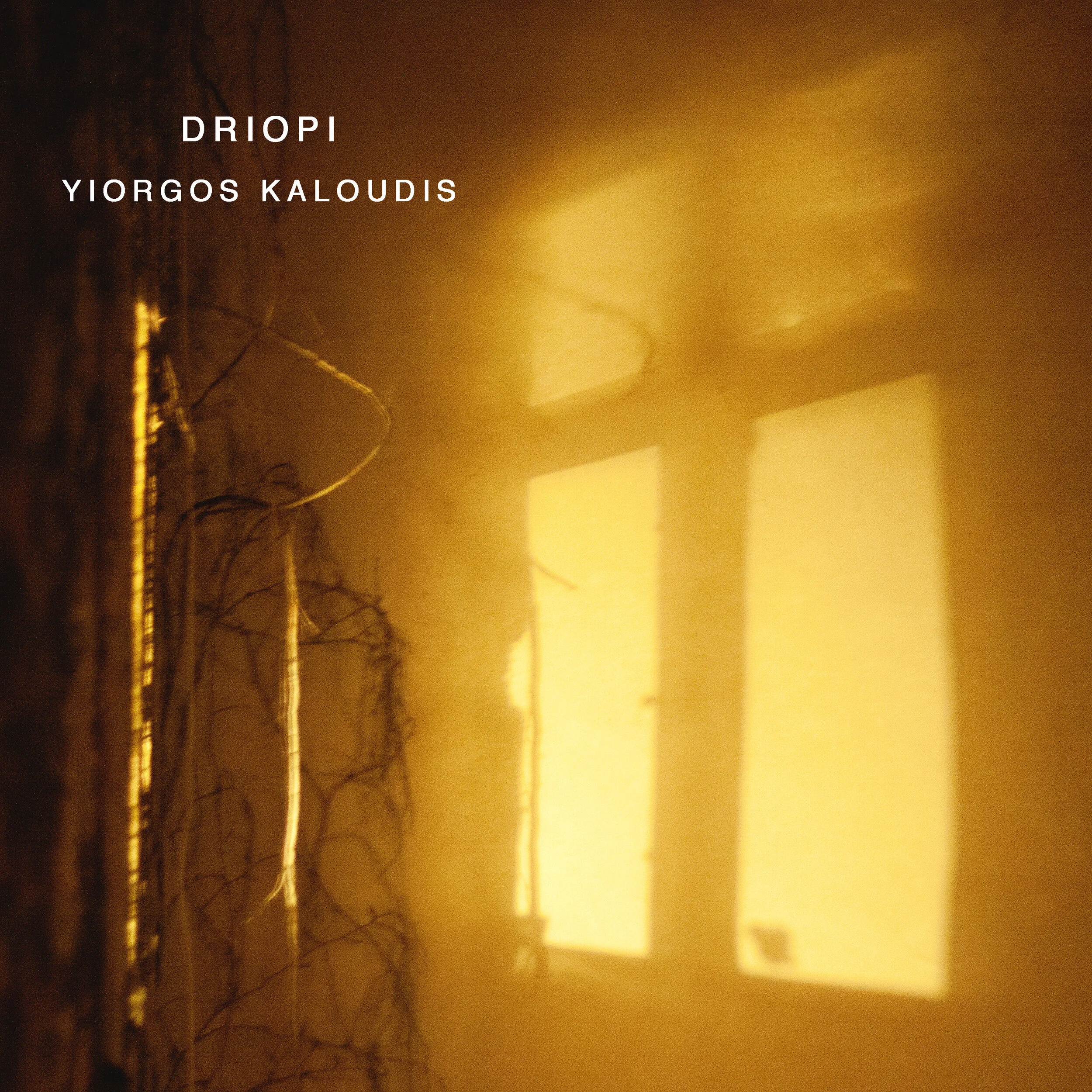 DRIOPI Window BOLD.jpg