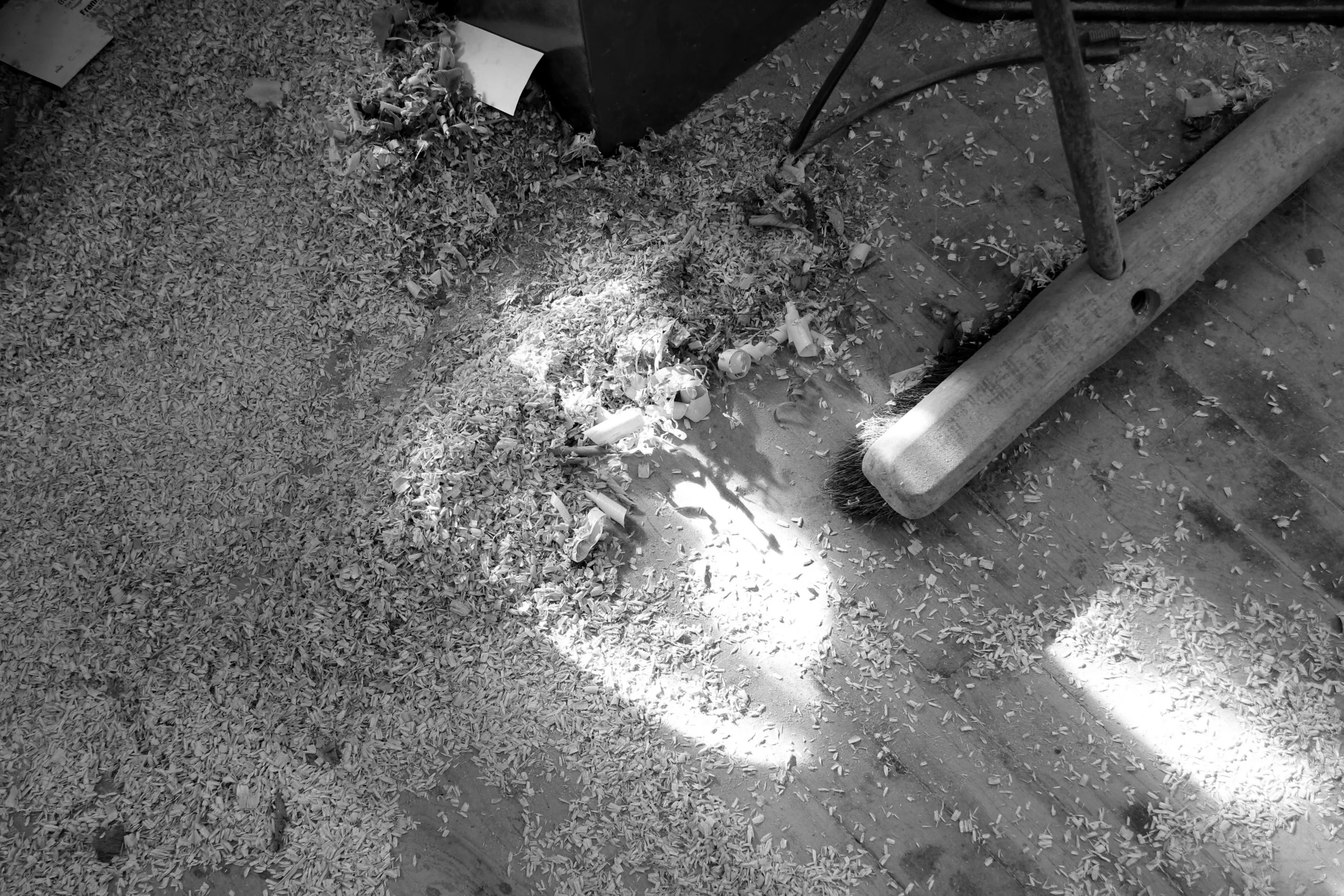 sawdust.jpg