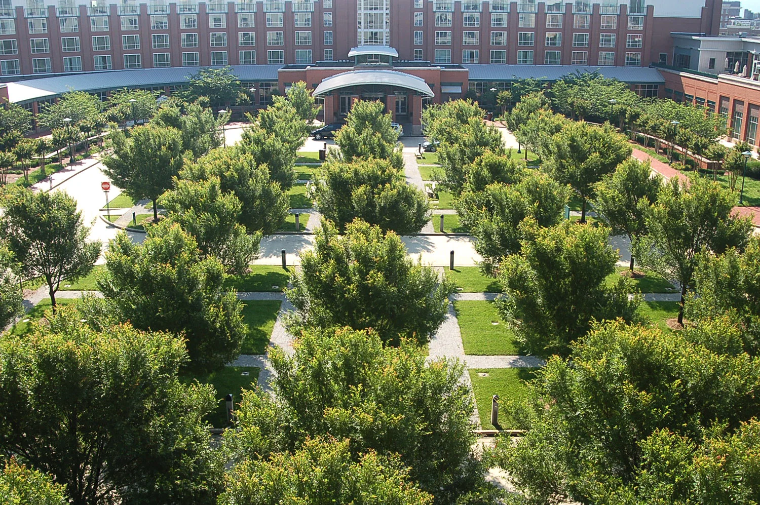 chattanoogan_5_web.jpg