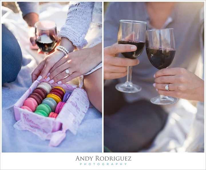 malibu-creek-engagement-photos_0008.jpg