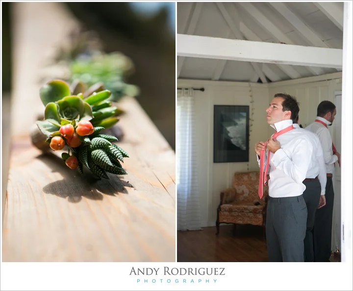 big-sur-wedding-point-16_0015.jpg