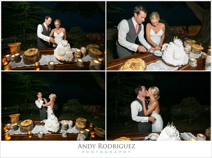 big-sur-wedding-point-16_0044.jpg