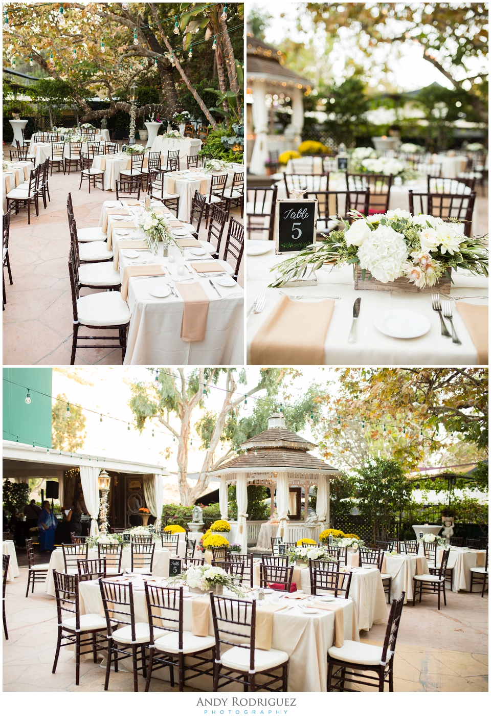 Tivoli Terrace Wedding Reception Details
