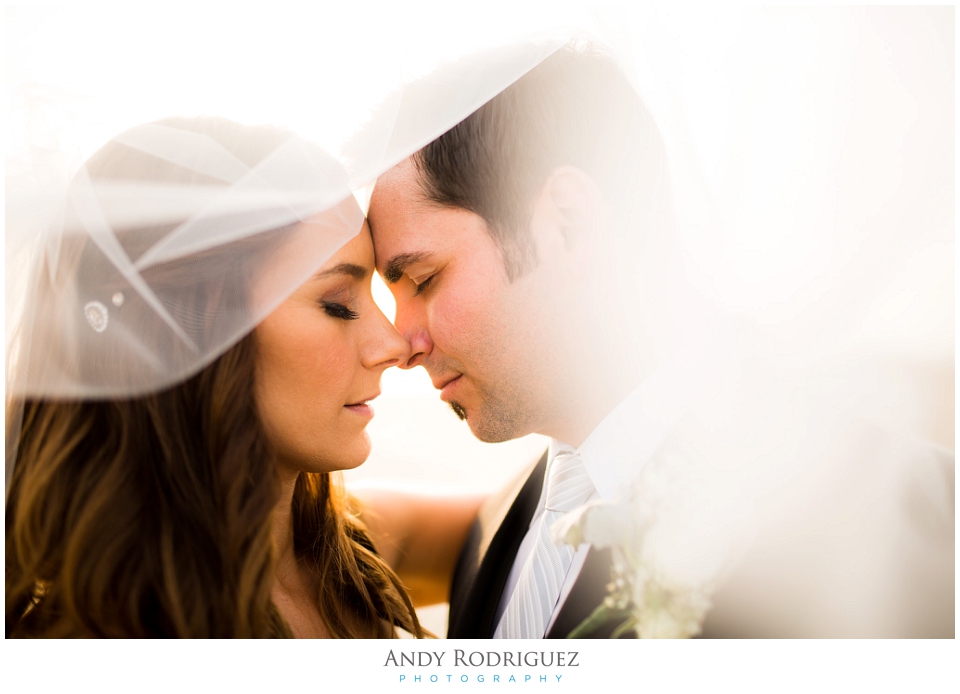 Wedding Portrait in Huntington Beach