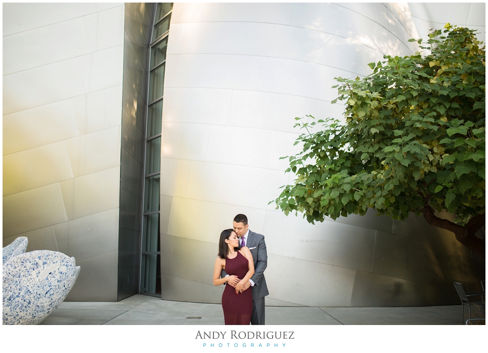 Bride and Groom Engagement Portrait