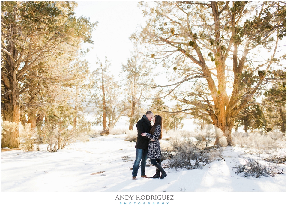 big-bear-engagement_0003.jpg