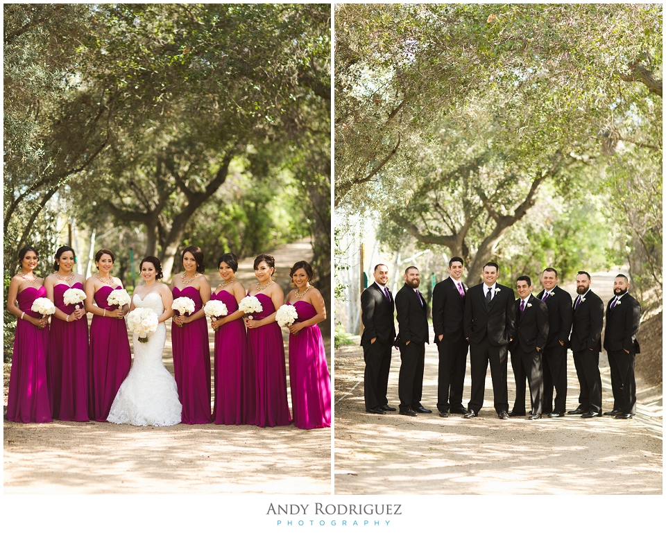 Nixon Library Wedding Party Photos