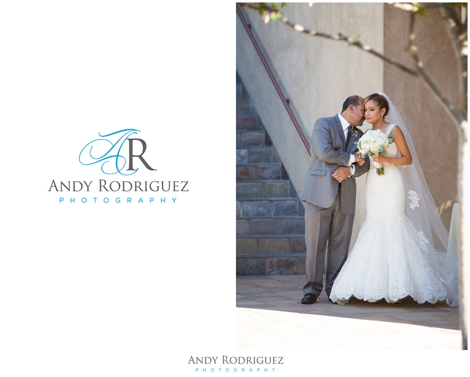 Father of the Bride and Bride