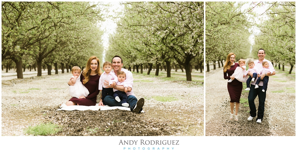 Family Photo in Almond Orchard