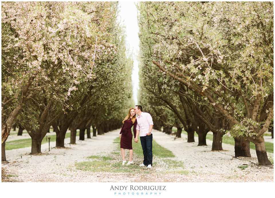Bakersfield Almond Orchard Photography