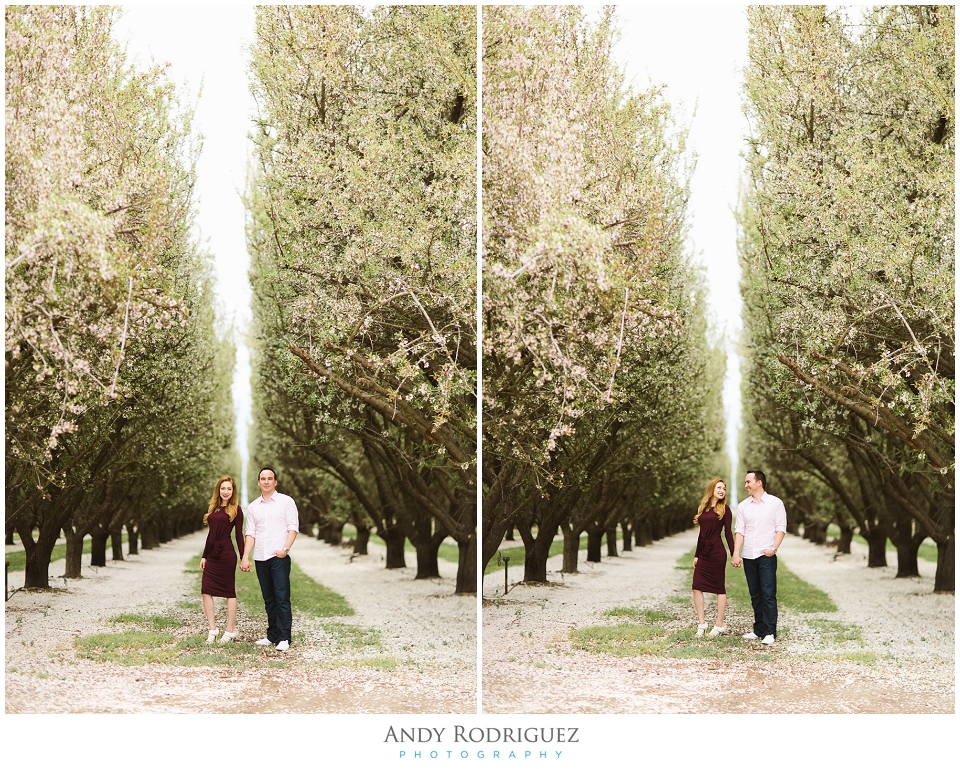 Bride and Groom in Almond Orchard