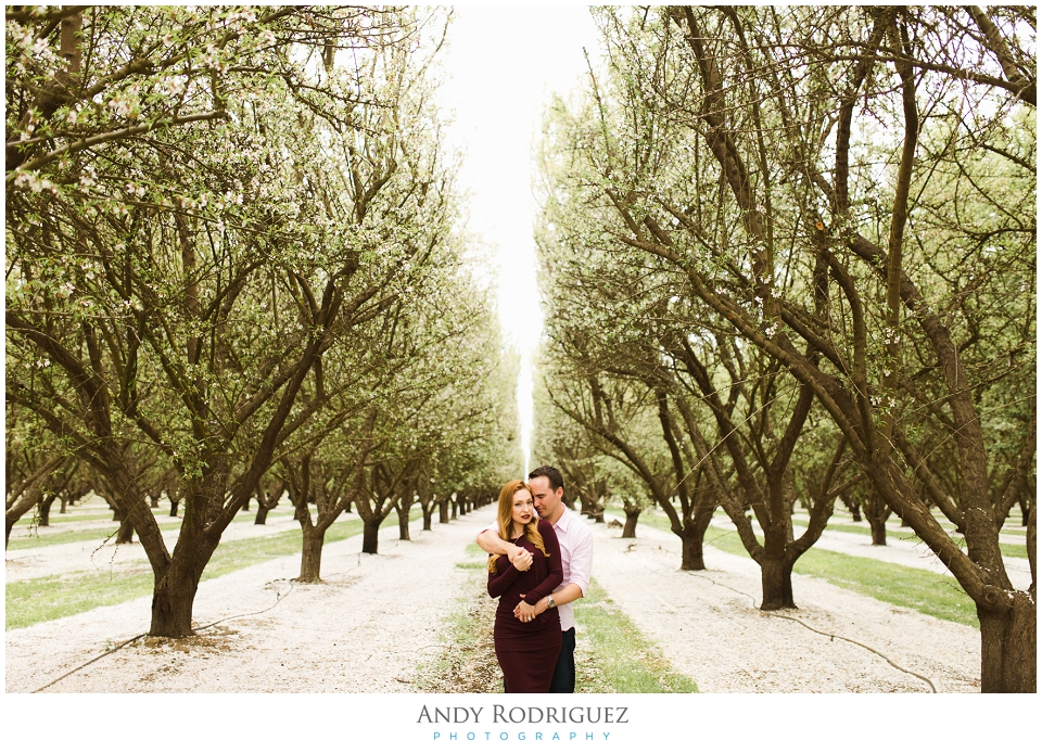 colemans-bakersfield-almond-orchard-portraits_0010.jpg