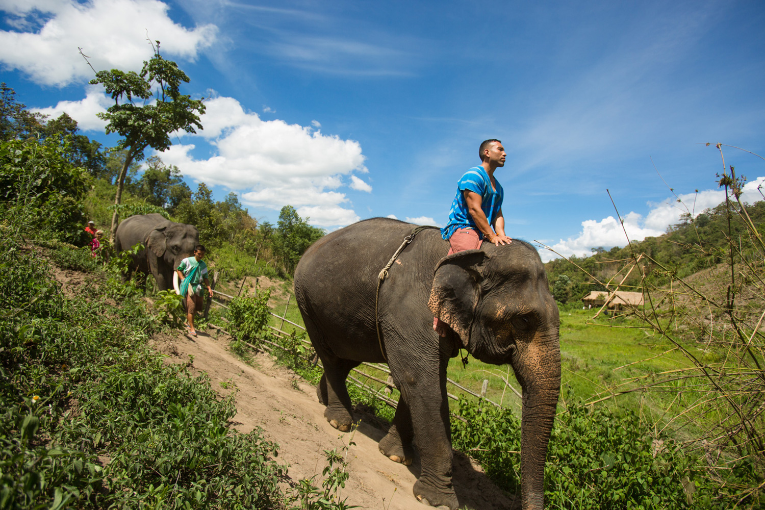 But I absolutely love elephants!