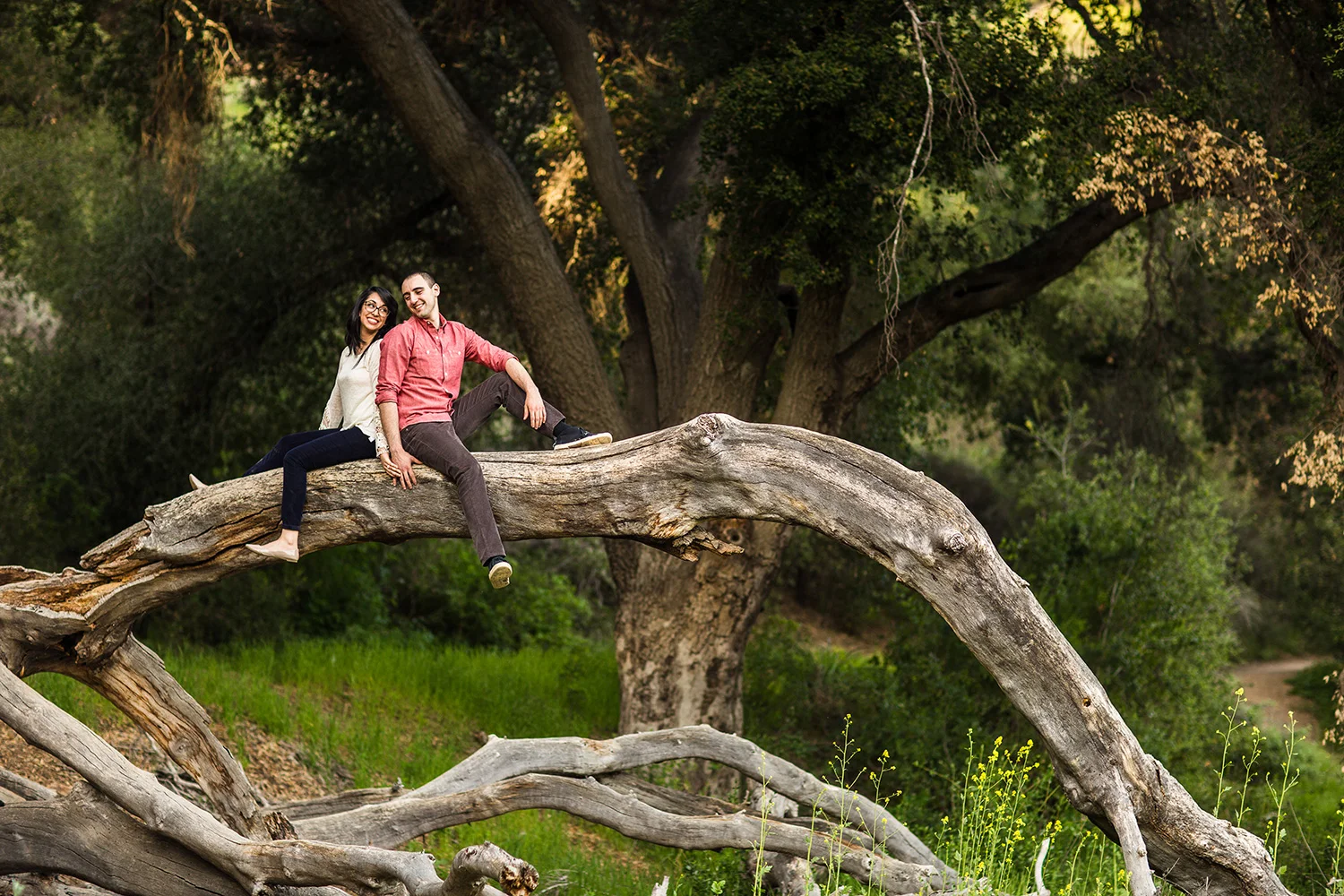 malibu-creek-state-park-engagement.jpg