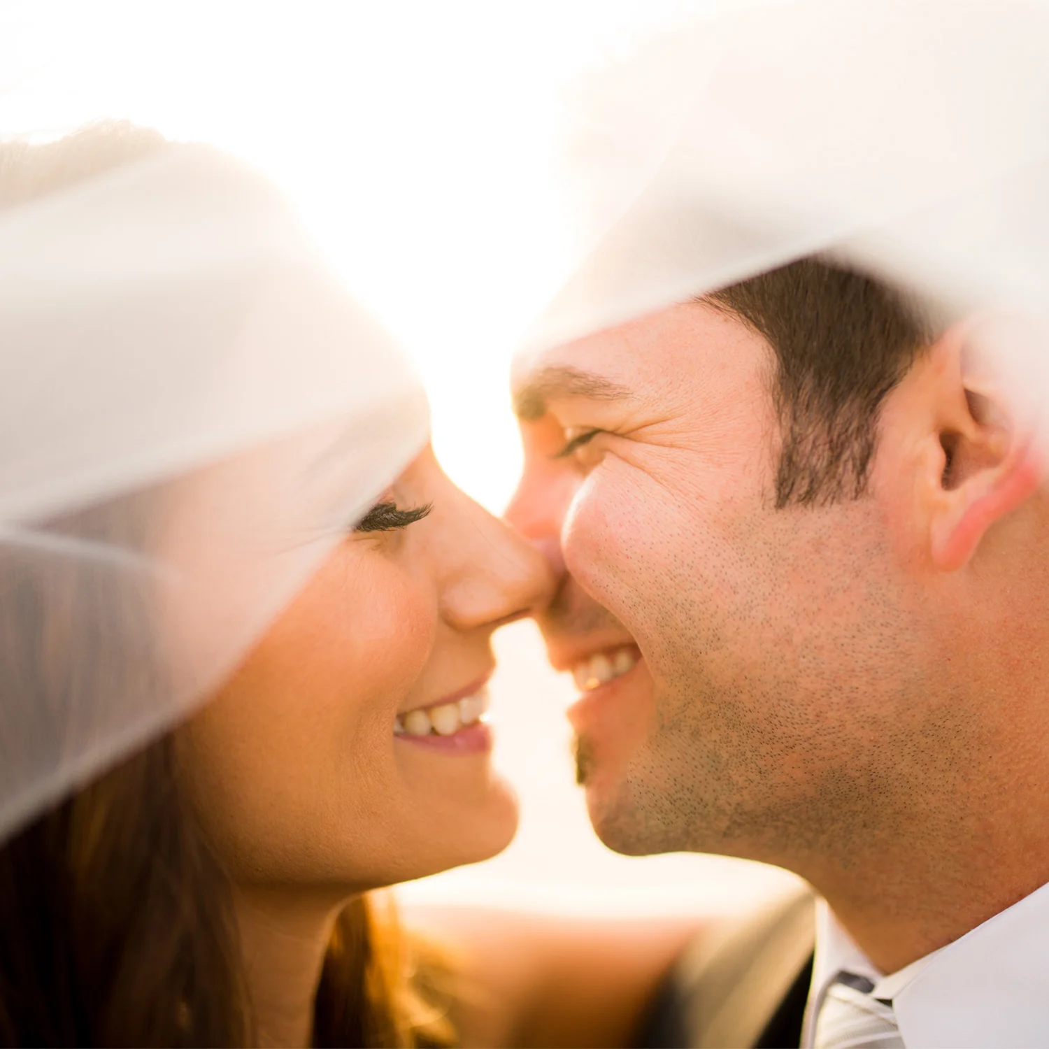 wedding-collection-1.jpg