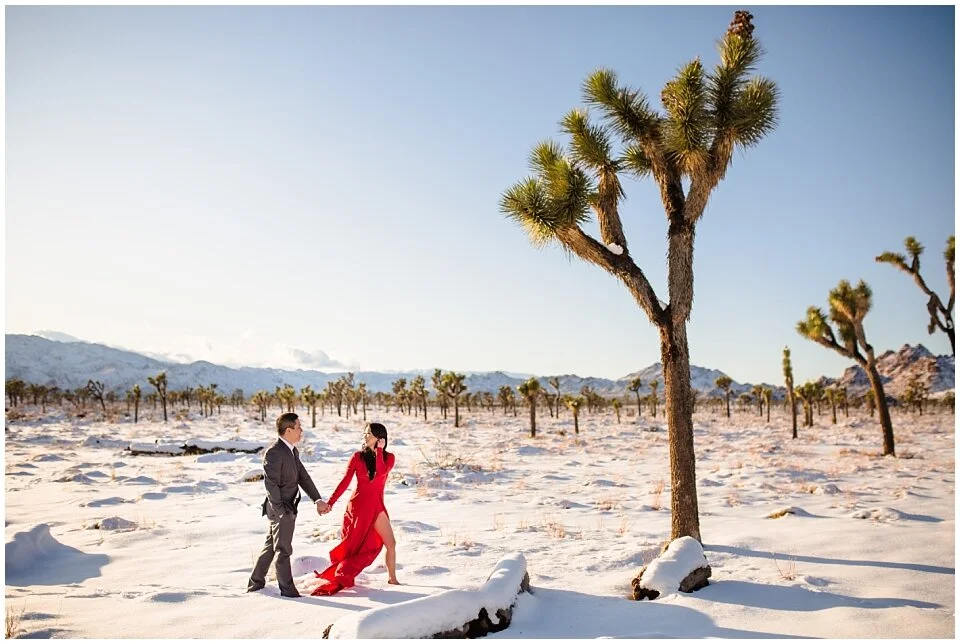 joshua-tree-engagement-photos_0007.jpg