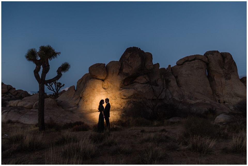 joshua-tree-marriage-proposal_0032.jpg