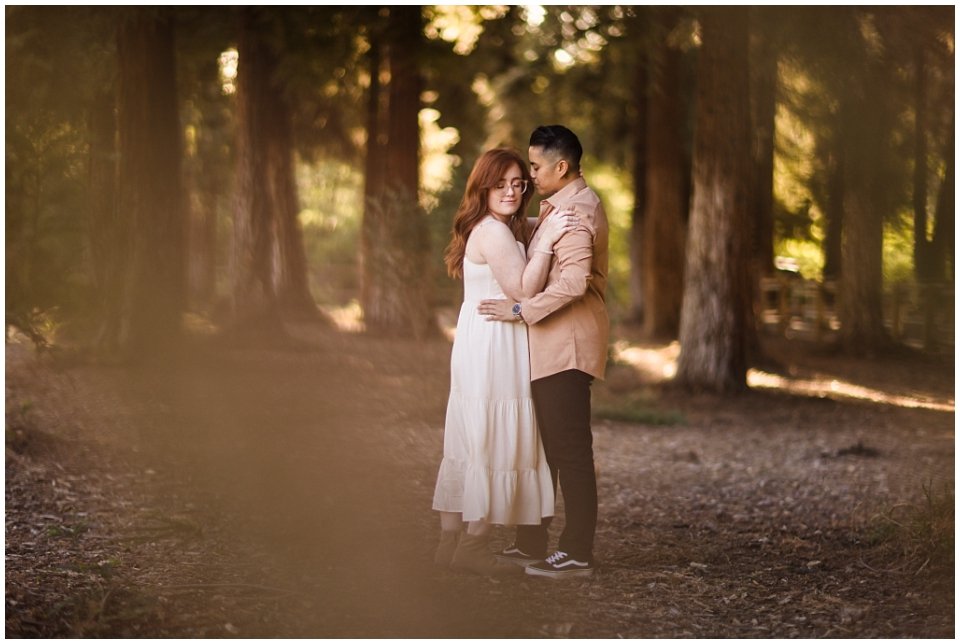 redwood-grove-engagement-photos (3).jpg
