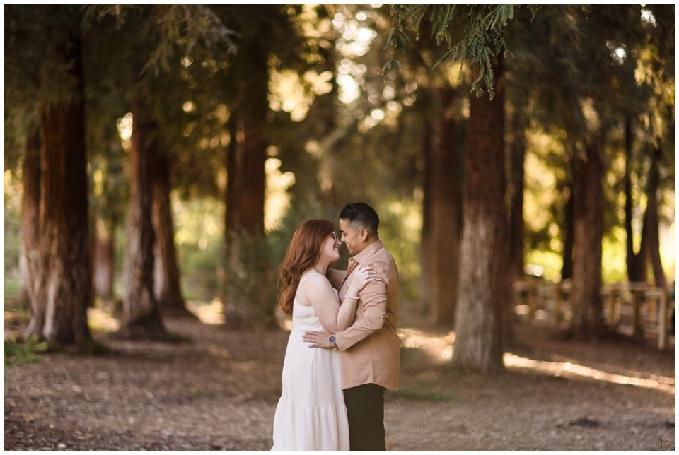 redwood-grove-engagement-photos (4).jpg