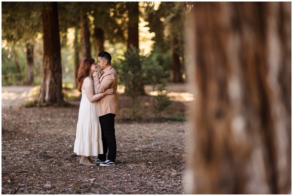 redwood-grove-engagement-photos (5).jpg