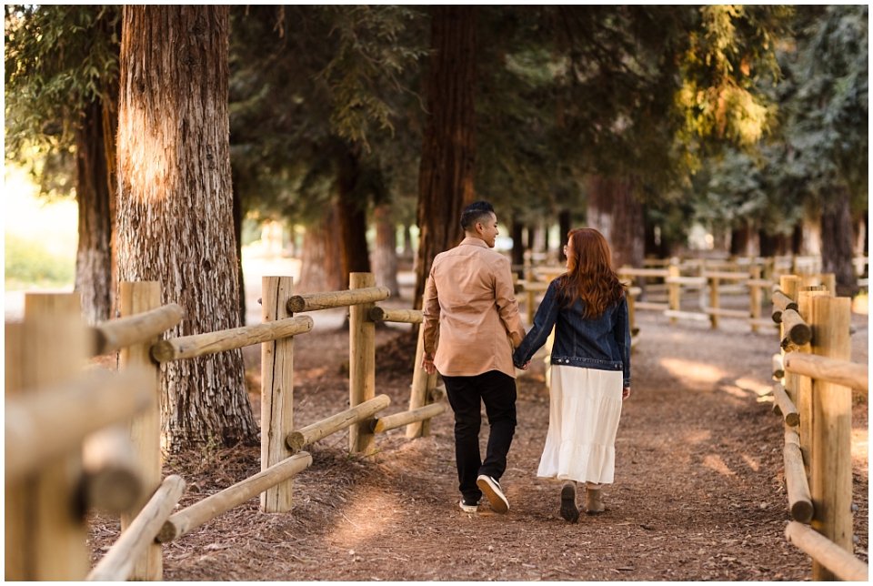 redwood-grove-engagement-photos (12).jpg
