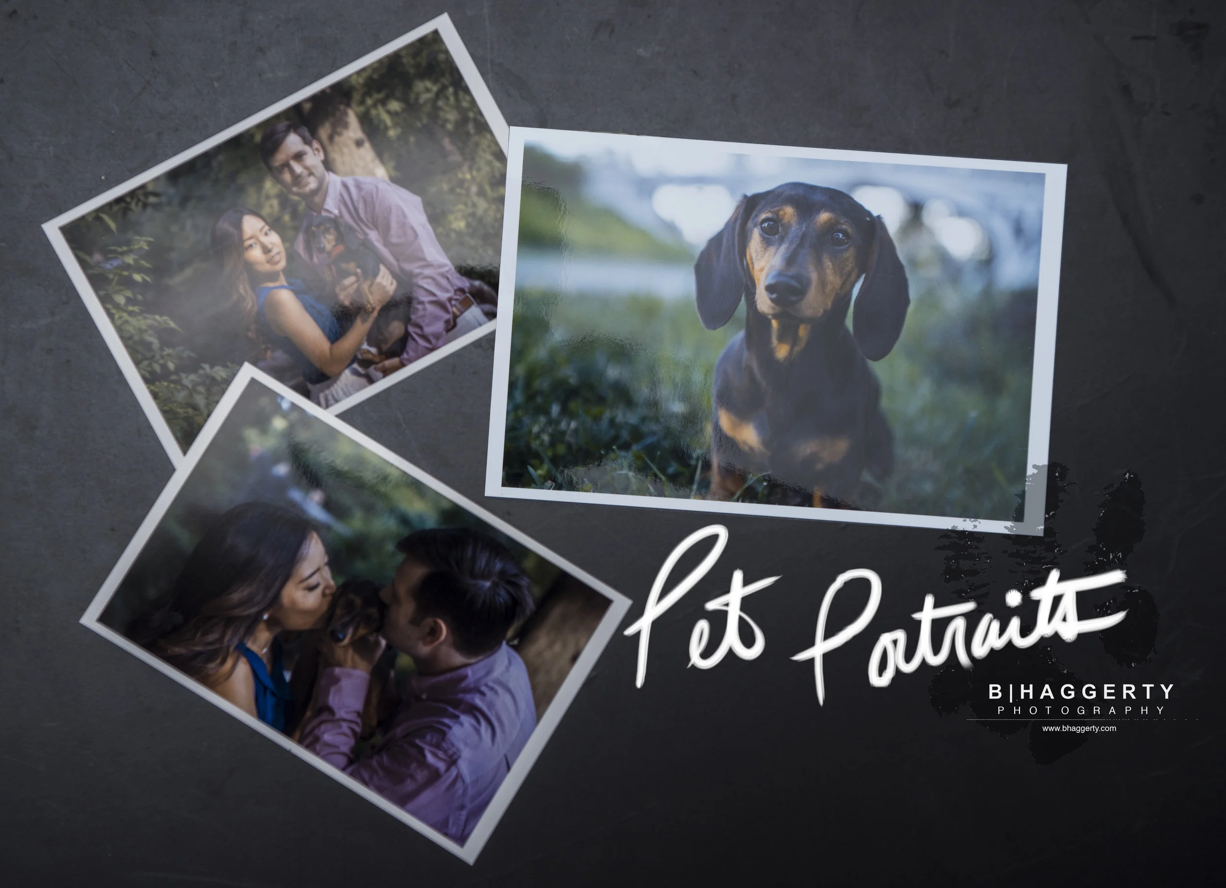 bhaggerty_facebookads_petportraits.jpg