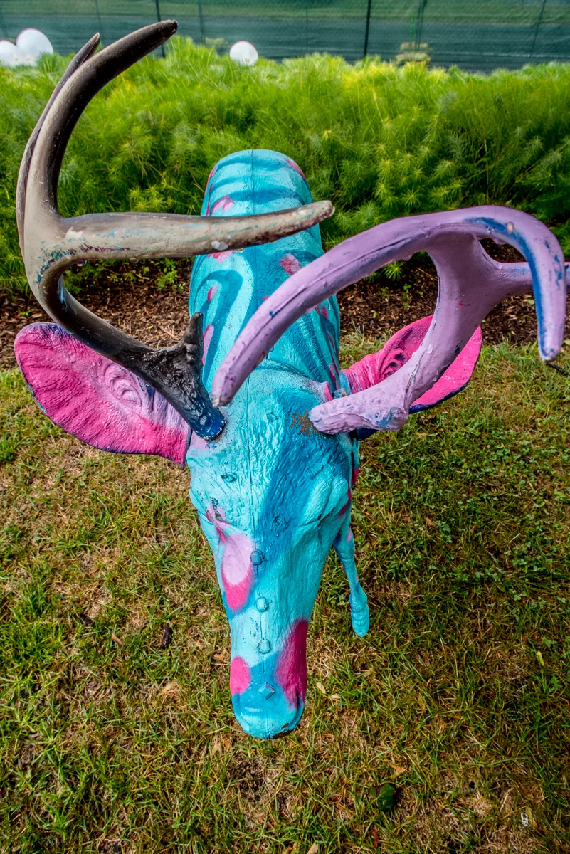 20170903_bhaggerty_hooknsling_ezoo-0388.jpg