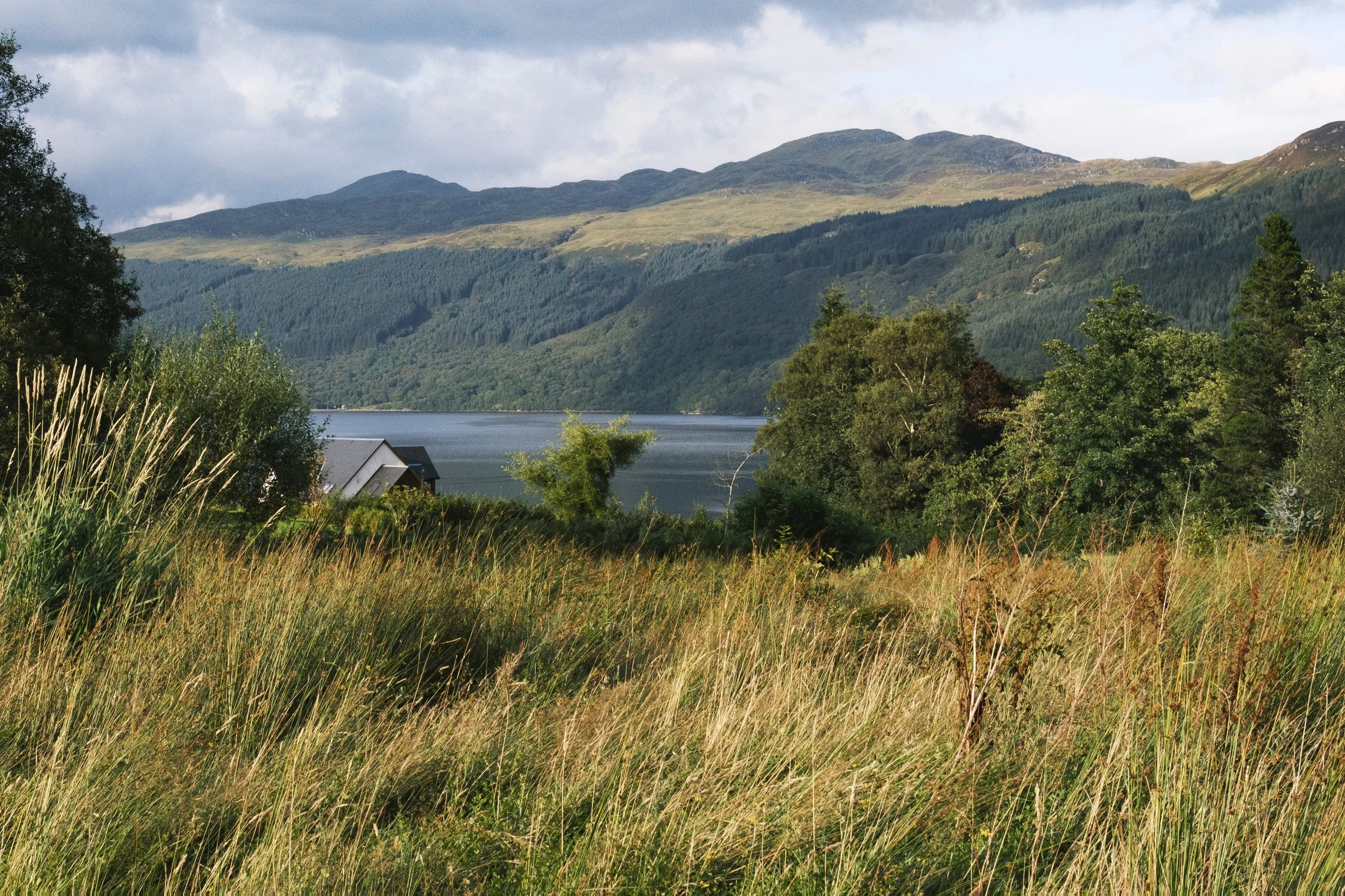 Scotland_2026_ay_12.jpg