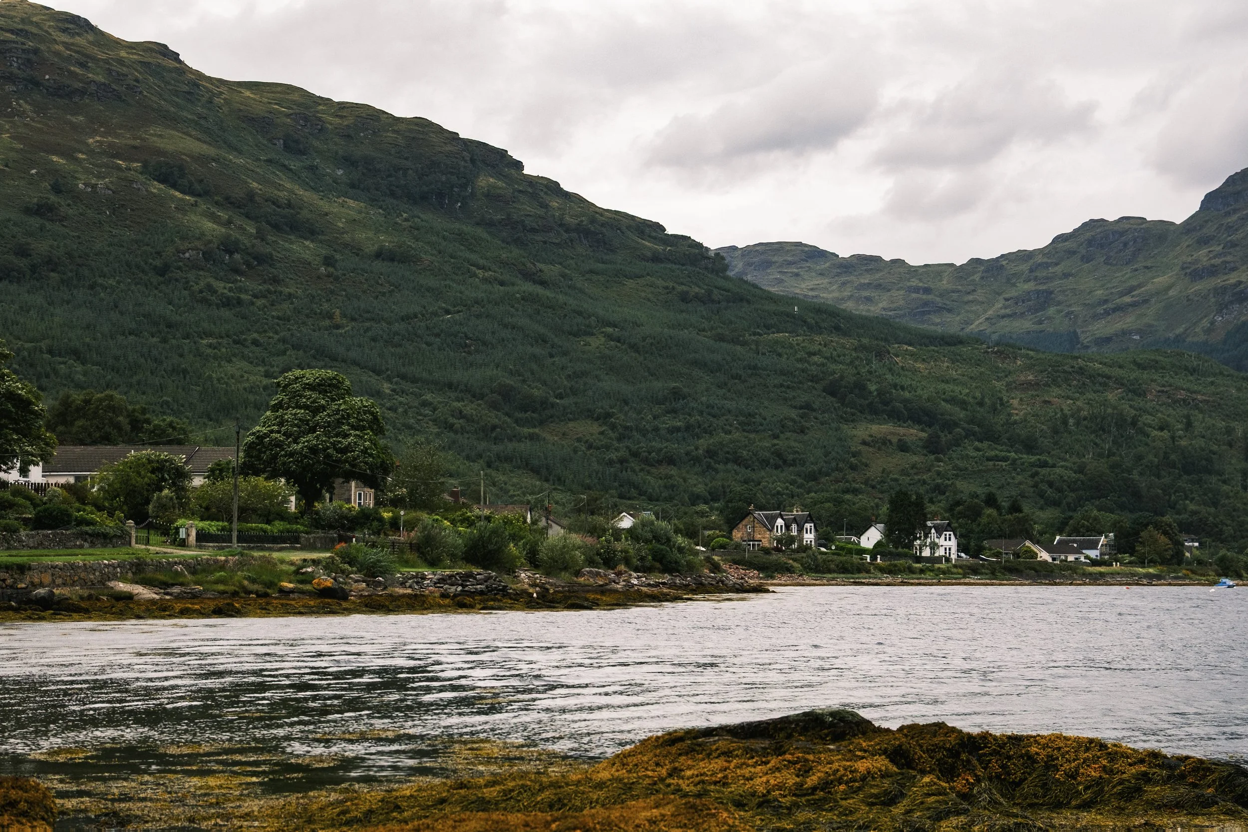 Scotland_2026_ay_21.jpg