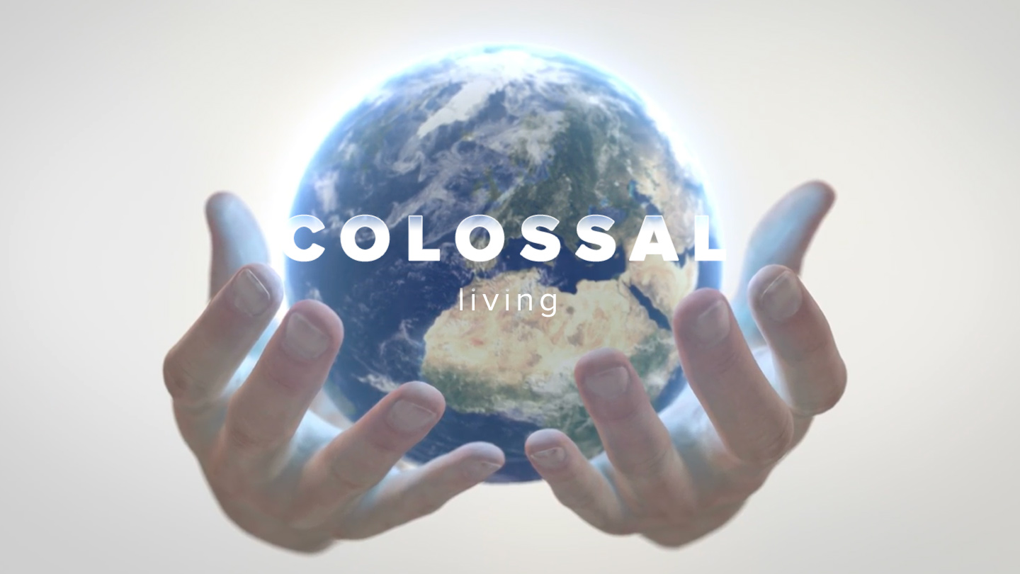 Colossal_1440x880 YV-clr.jpg