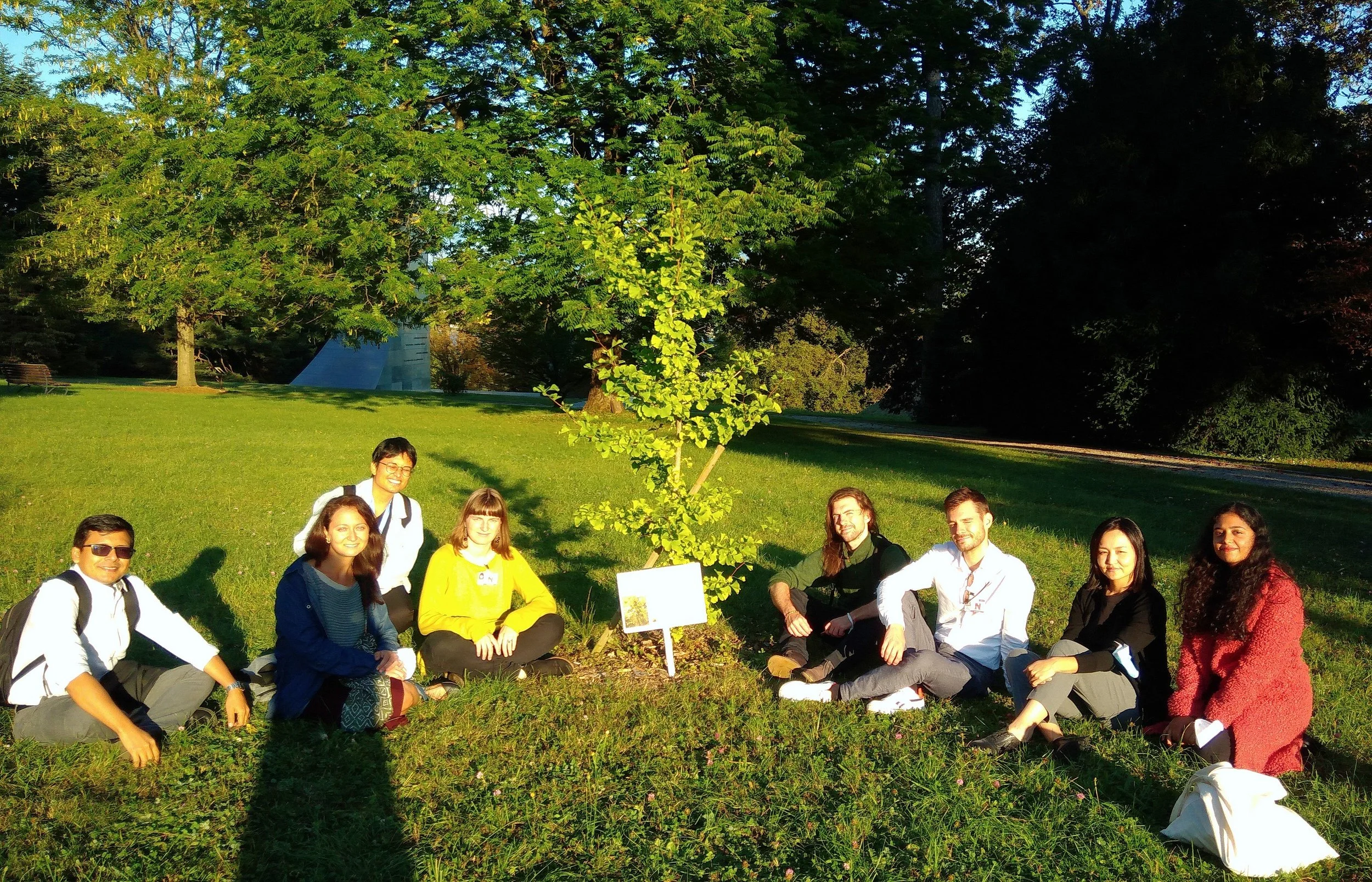 Sept21st nuclear bombing survivor tree