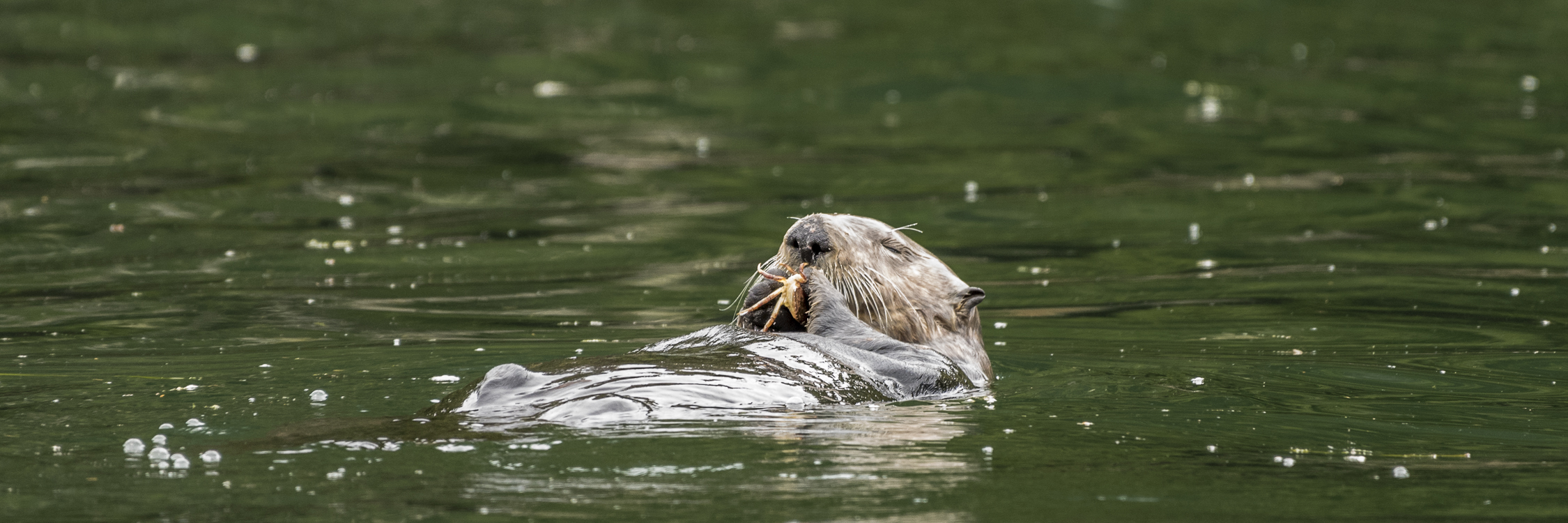 20160518-_DSC4432.jpg