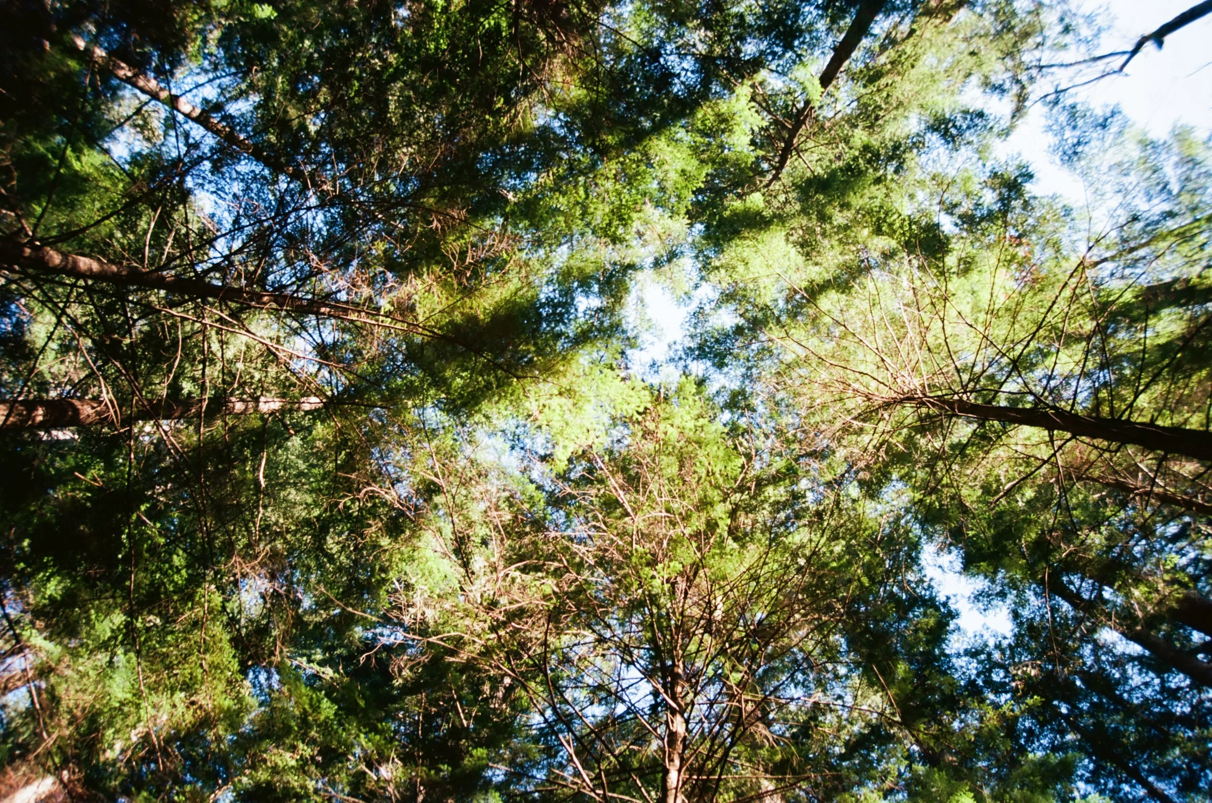 000054770005.jpg