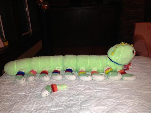 The caterpillar and his "prosthetic leg"