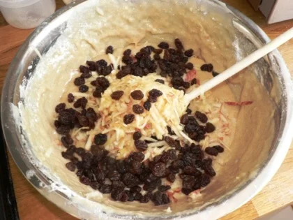 Our Adventures With Herman The German Friendship Cake — Gourmet Mum