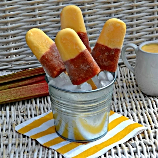 Rhubarb, Ginger and Custard Ice Lollies (Post BBQ Pudding on a Stick}