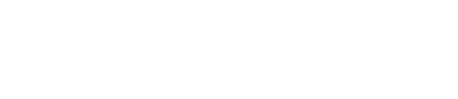 The Michigan Legal Team