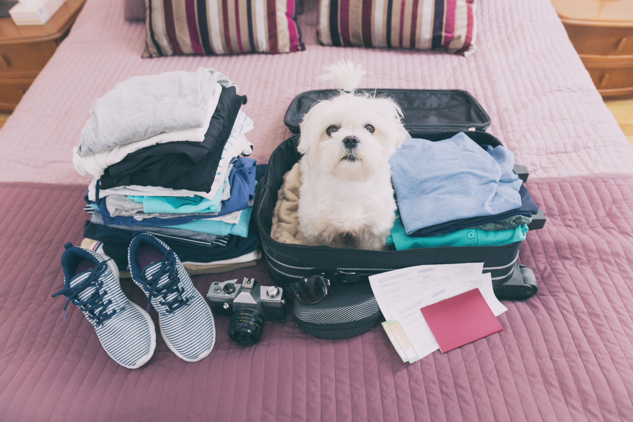 Photo by humonia/iStock / Getty Images